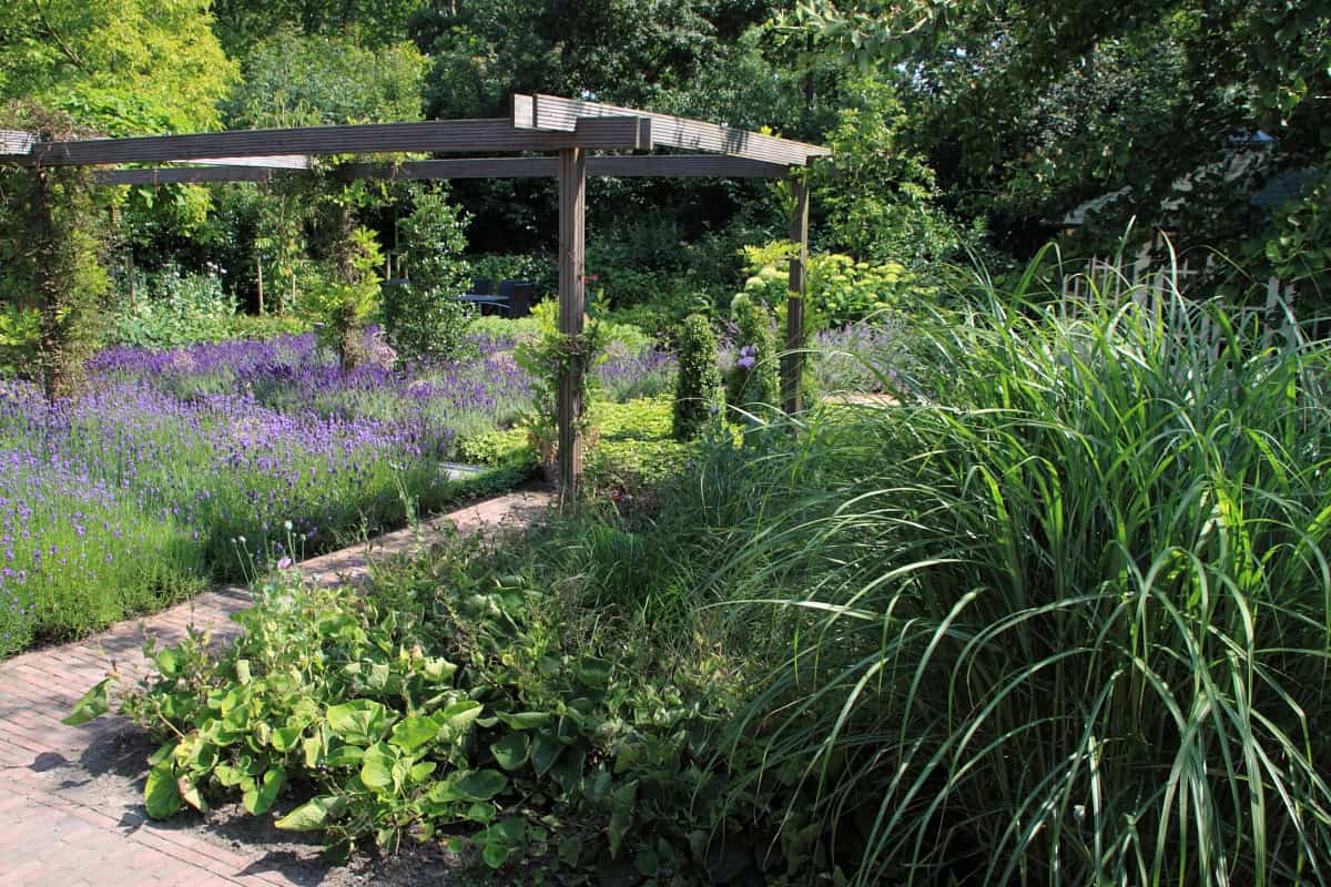 Tuin met pergola, groenblijvende planten en bloemen langs waterkant.