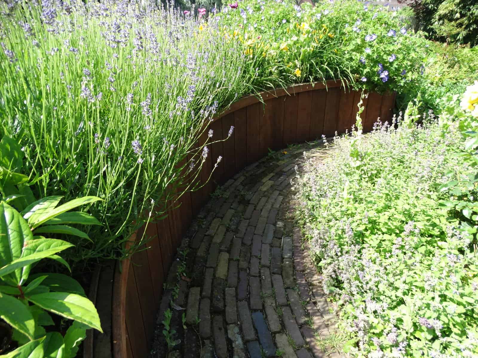 Gezellige cottage tuin met bloemen en een sierlijke boog.