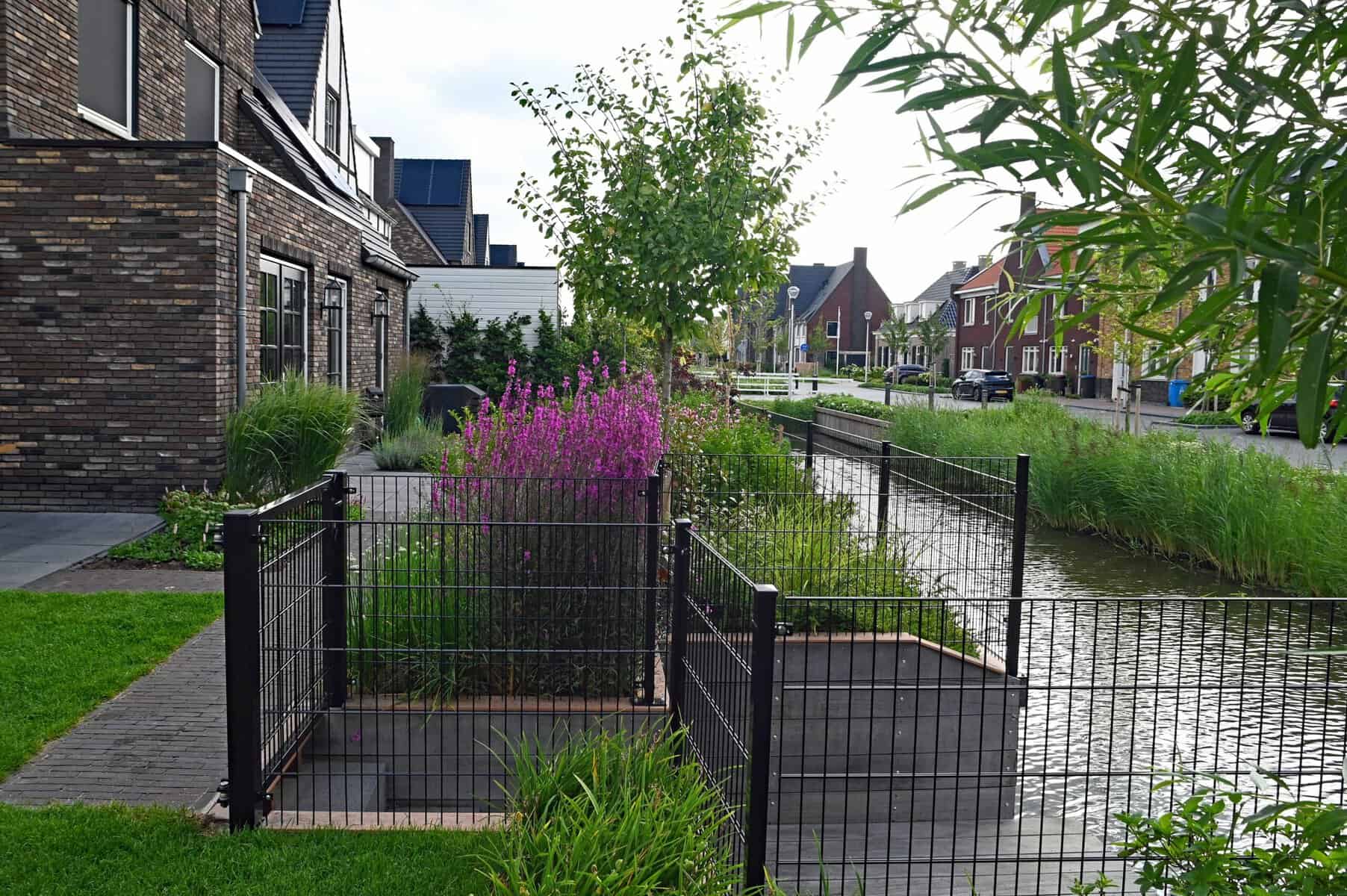 Moderne tuin aan het water met planten en een hekwerk.
