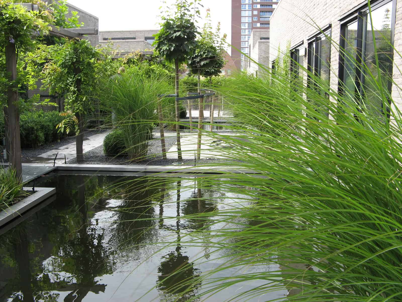 Tuin aan het water met groene beplanting en waterpartij.