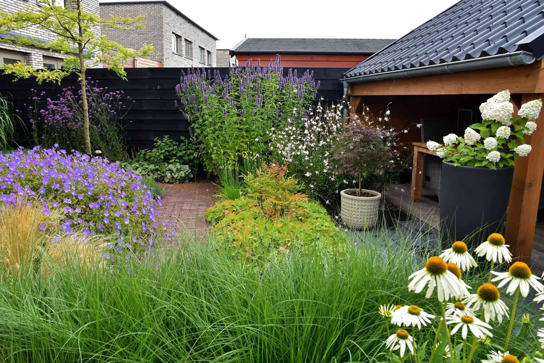 Gezonde, natuurlijke tuin met bloemen en groen, door Van Wijk Hoveniers.