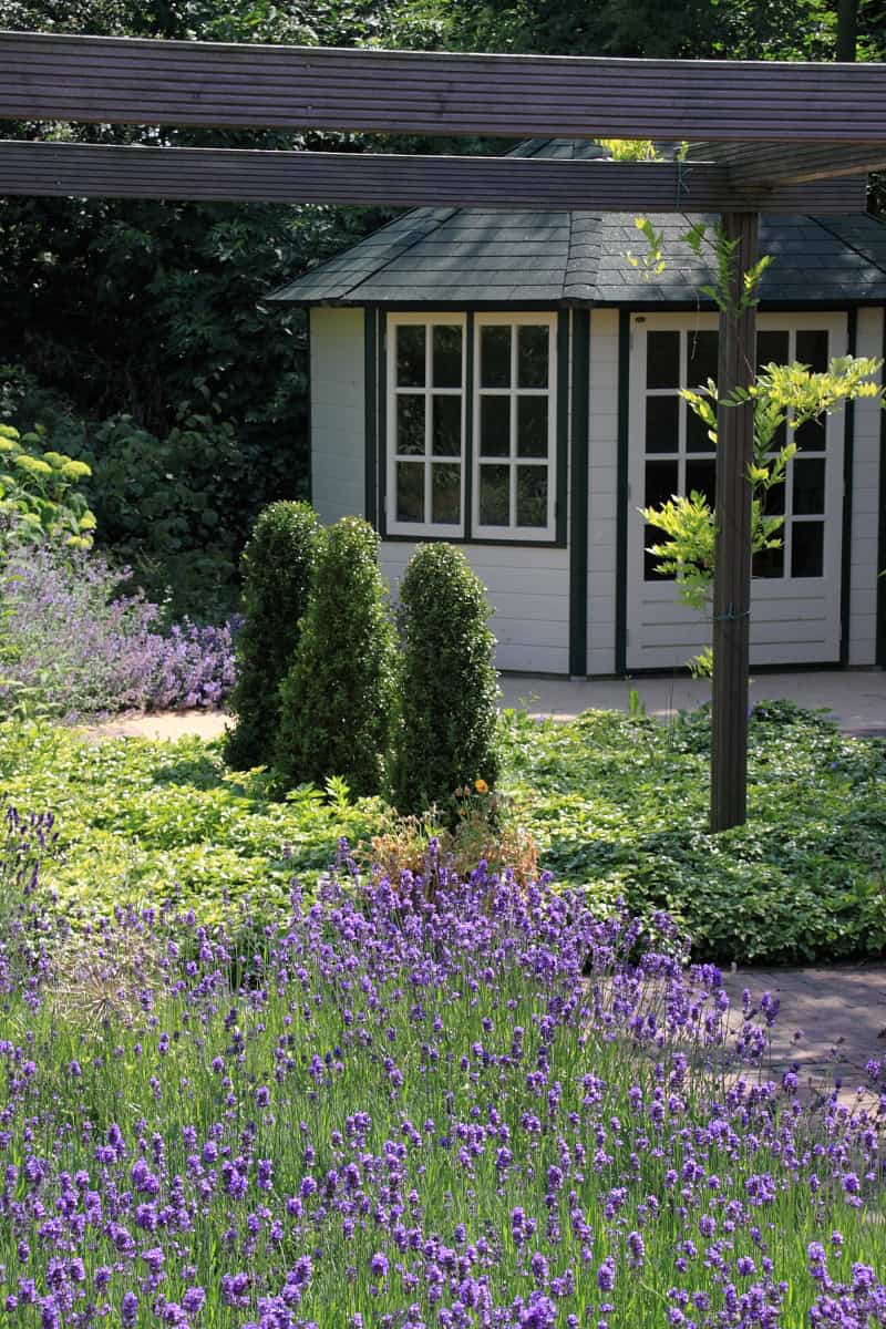 Gezellige tuin met bloemen, struiken en een tuinhuis in een natuurlijke setting.