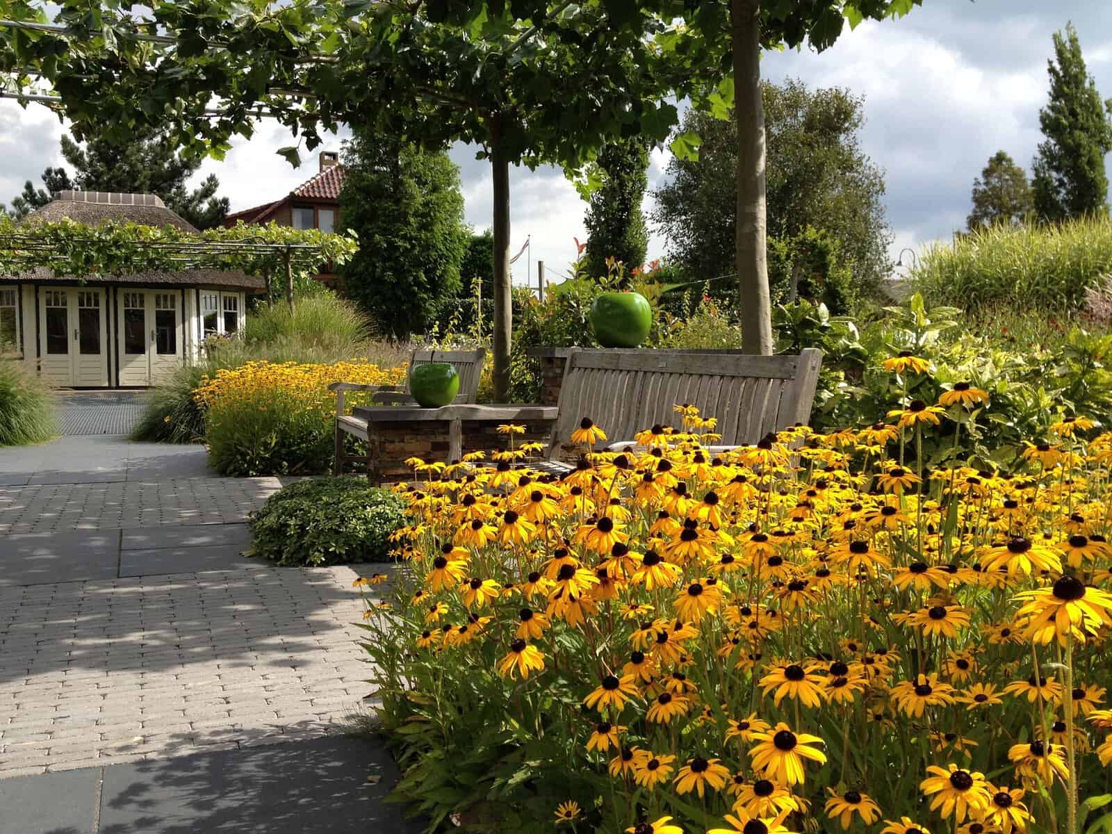Gezellige tuin met gele bloemen, bank en groene planten.