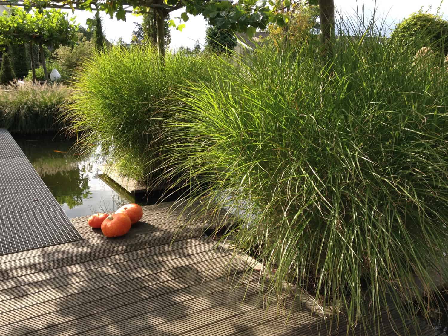 Tuin met vijver en siergrassen voor een rustgevende sfeer.