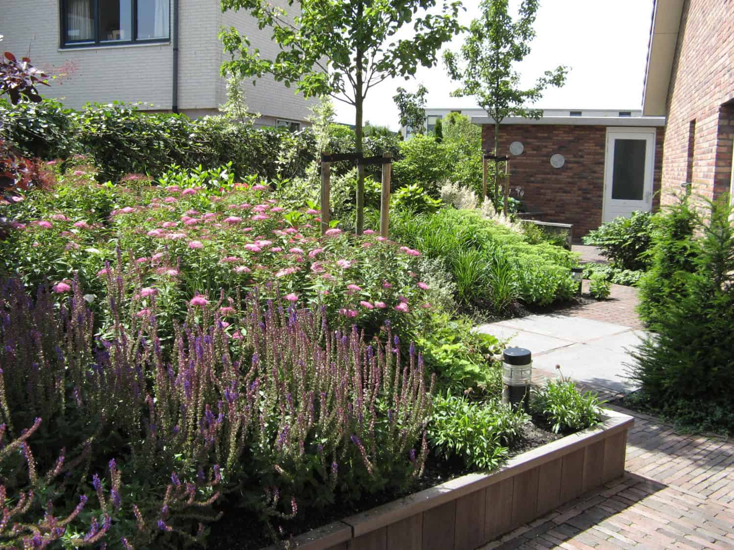 Gezonde natuurlijke tuin met bloemen, struiken en bomen.