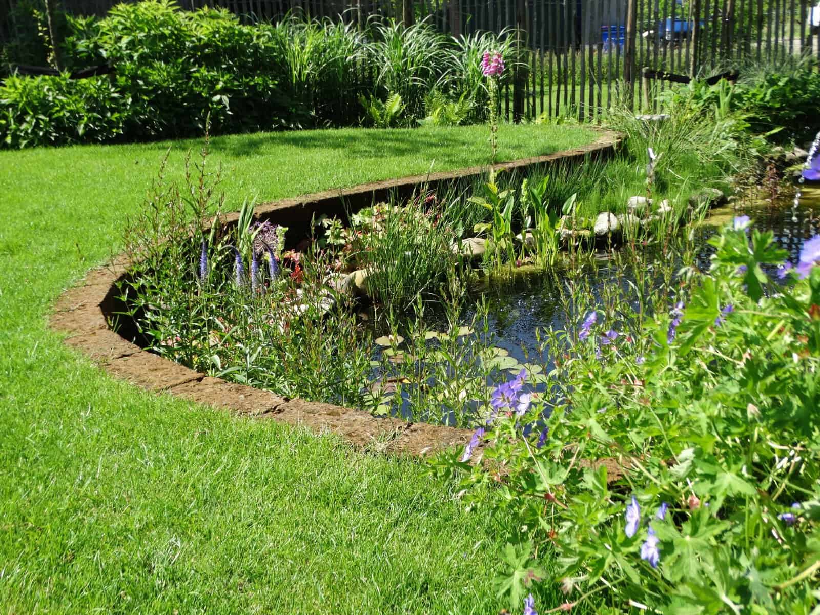 Tuin met vijver, bloemen en groene gazons.