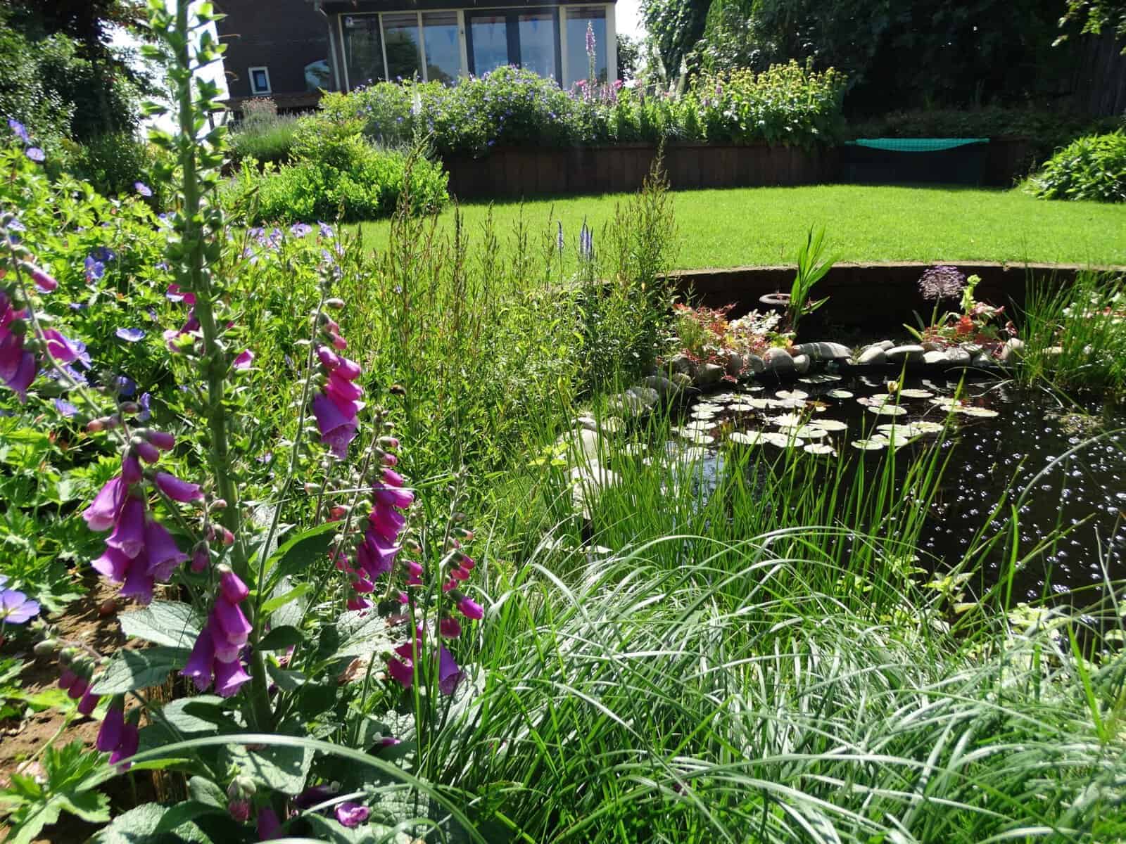 Tuin met vijver, bloemen en groene gazons voor een rustgevende sfeer.