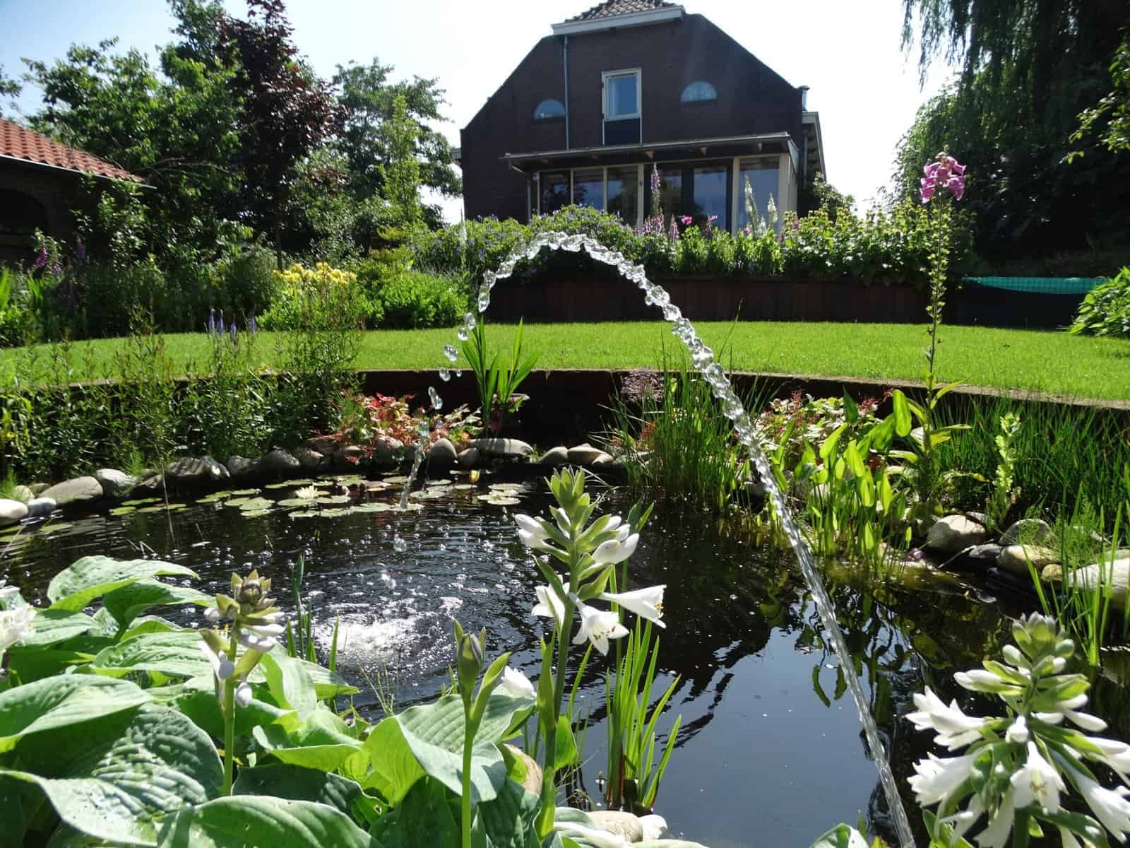 Tuin met vijver, fontein en groene planten voor een rustgevende sfeer.
