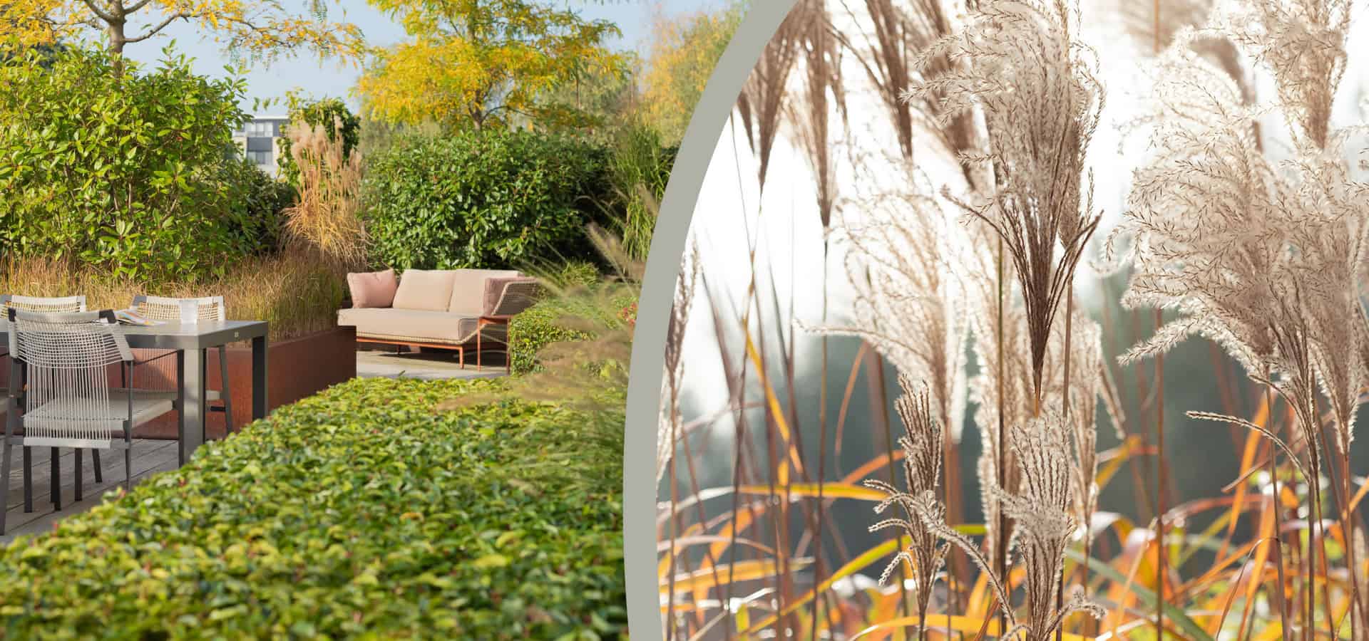Natuurlijke tuin met zitgedeelte en siergrassen.
