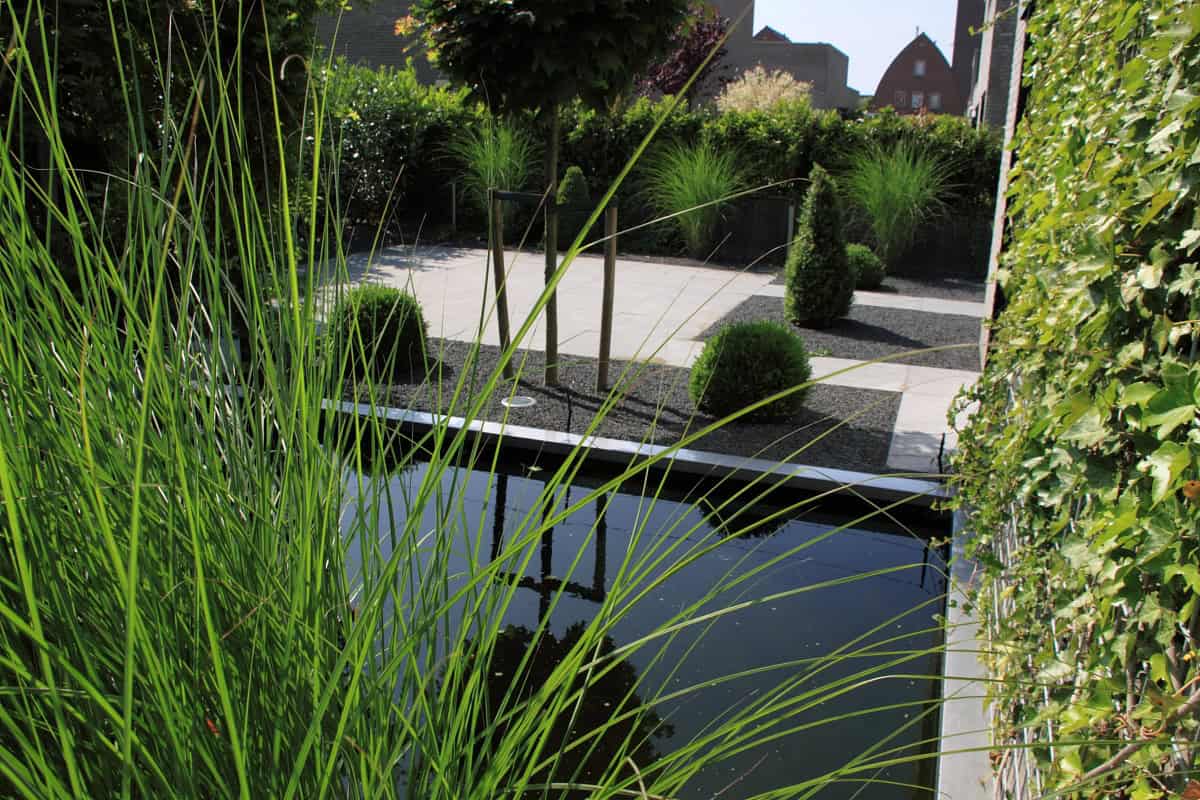 Moderne tuin met vijver, groene beplanting en strakke paden.
